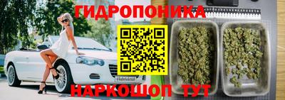a pvp Рыбинск